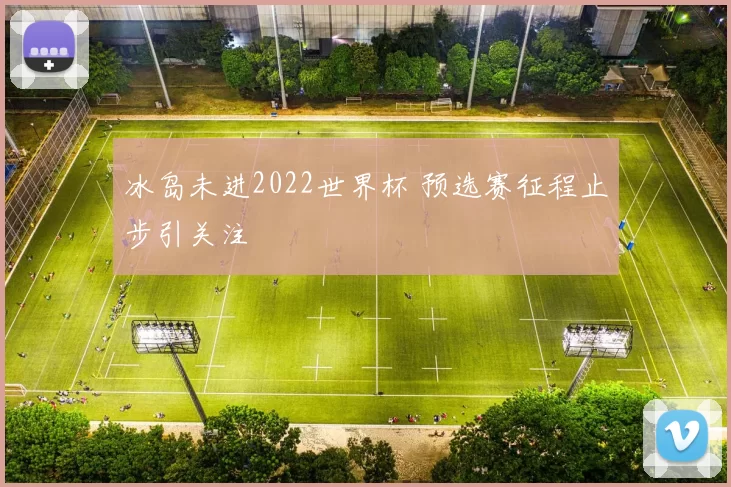 冰岛未进2022世界杯 预选赛征程止步引关注