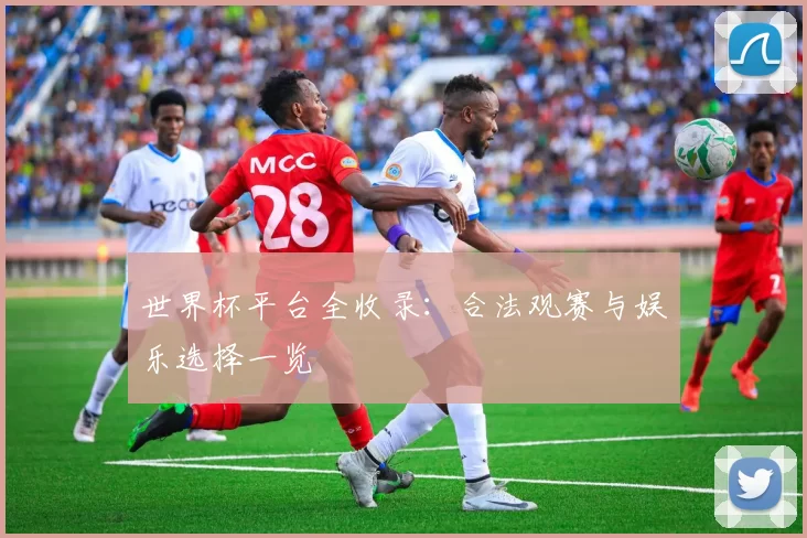 世界杯平台全收录：合法观赛与娱乐选择一览