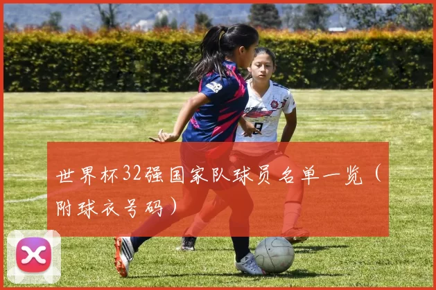 世界杯32强国家队球员名单一览(附球衣号码)