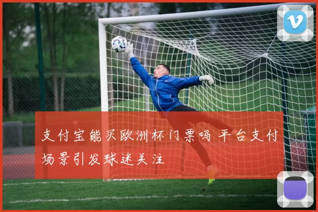支付宝能买欧洲杯门票吗 平台支付场景引发球迷关注