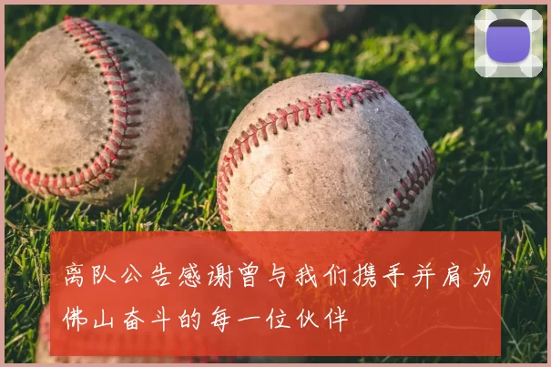 离队公告感谢曾与我们携手并肩为佛山奋斗的每一位伙伴