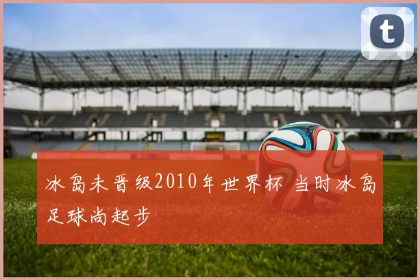 冰岛未晋级2010年世界杯 当时冰岛足球尚起步