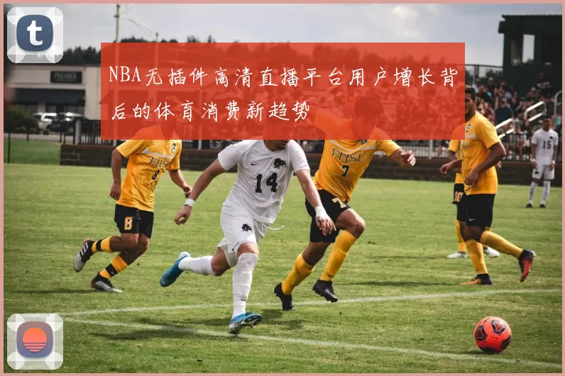 NBA无插件高清直播平台用户增长背后的体育消费新趋势