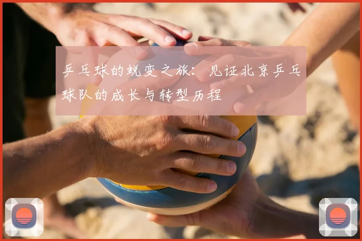 乒乓球的蜕变之旅：见证北京乒乓球队的成长与转型历程