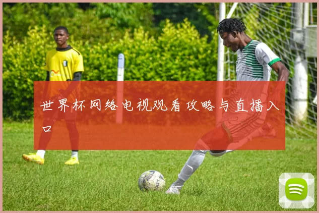 世界杯网络电视观看攻略与直播入口