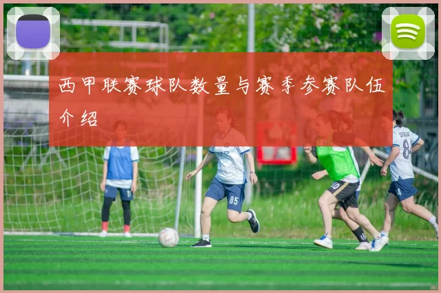 西甲联赛球队数量与赛季参赛队伍介绍