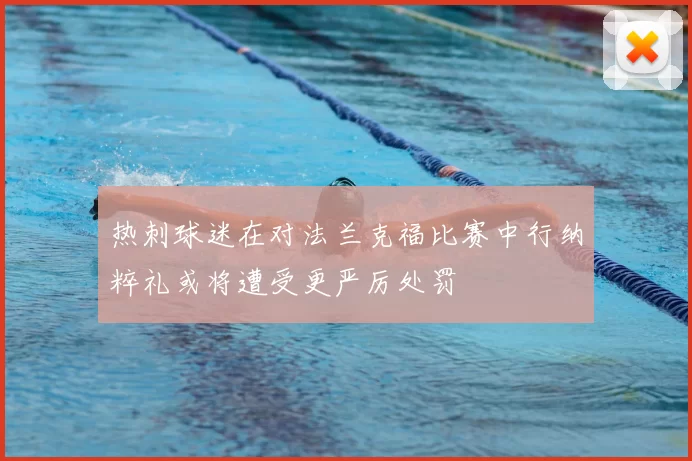 热刺球迷在对法兰克福比赛中行纳粹礼或将遭受更严厉处罚