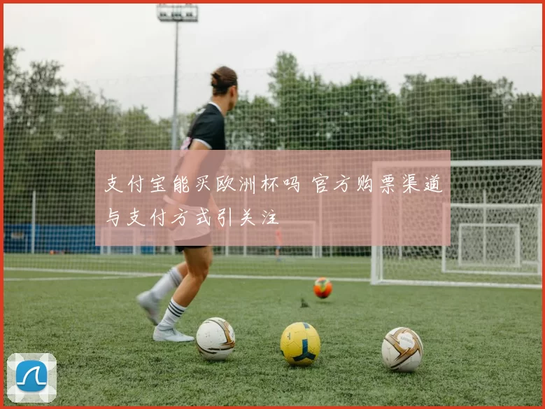 支付宝能买欧洲杯吗 官方购票渠道与支付方式引关注