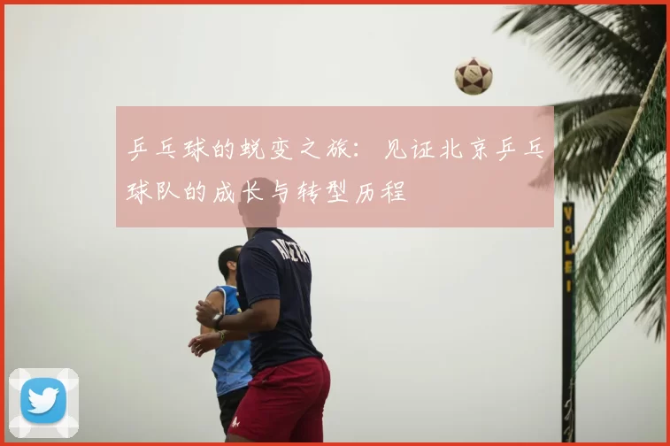 乒乓球的蜕变之旅：见证北京乒乓球队的成长与转型历程
