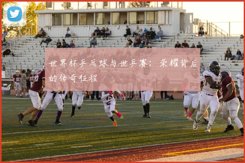 世界杯乒乓球与世乒赛:荣耀背后的传奇征程