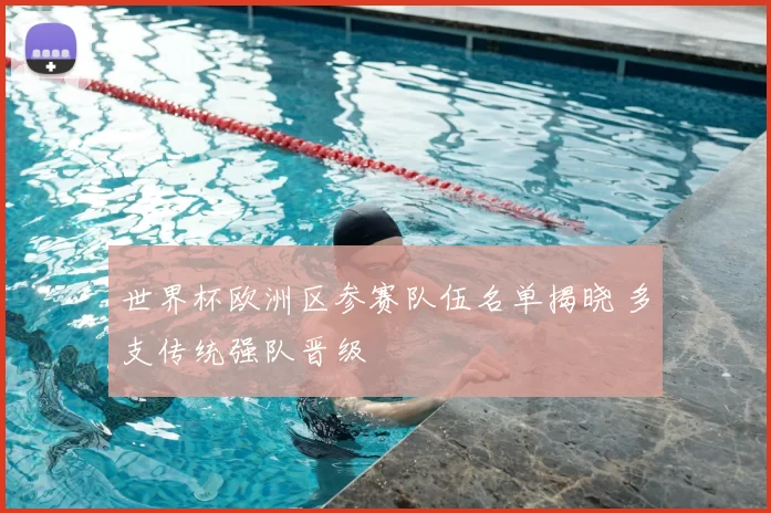 世界杯欧洲区参赛队伍名单揭晓 多支传统强队晋级