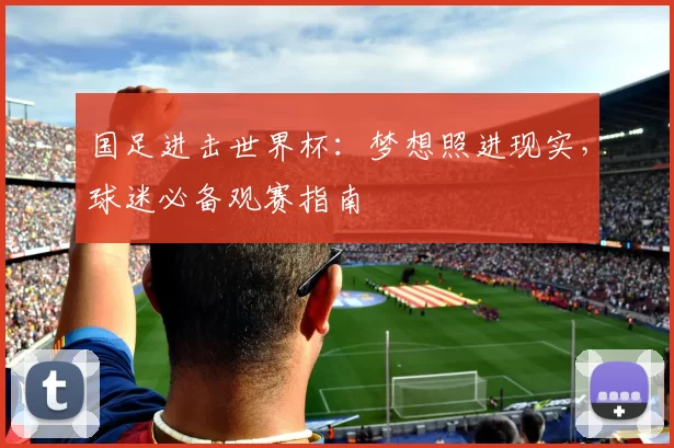 国足进击世界杯：梦想照进现实，球迷必备观赛指南