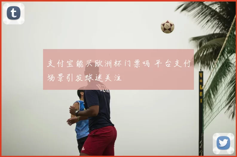 支付宝能买欧洲杯门票吗 平台支付场景引发球迷关注