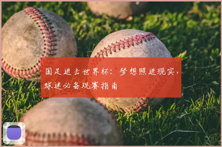 国足进击世界杯：梦想照进现实，球迷必备观赛指南