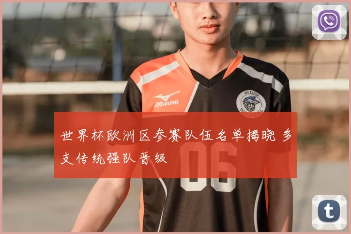 世界杯欧洲区参赛队伍名单揭晓 多支传统强队晋级