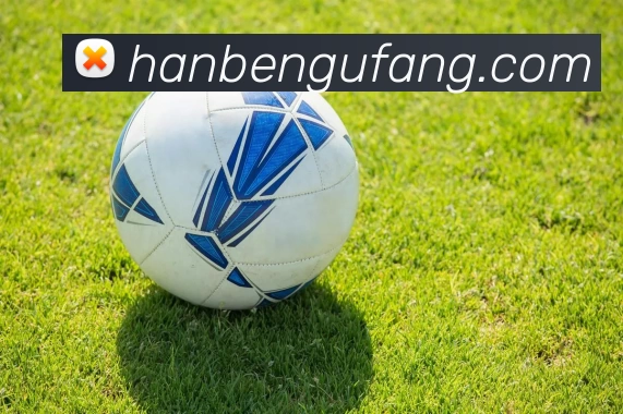 ag九游会APP 高清赛事图